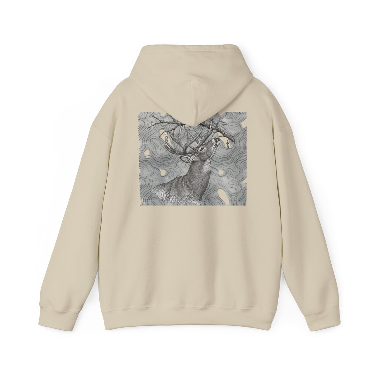 Topo Buck