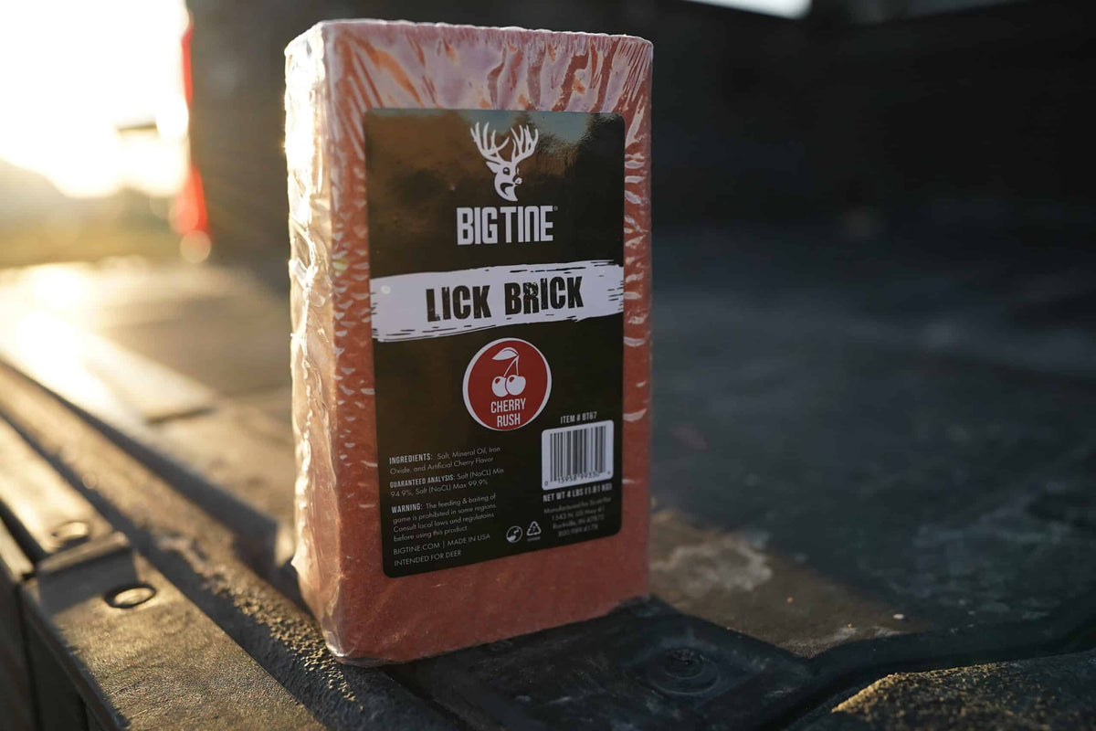 BIG TINE LICK BRICK CHERRY RUSH