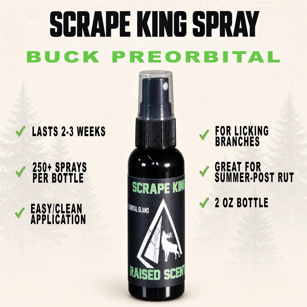 Scrape King | Buck Preorbital Gland