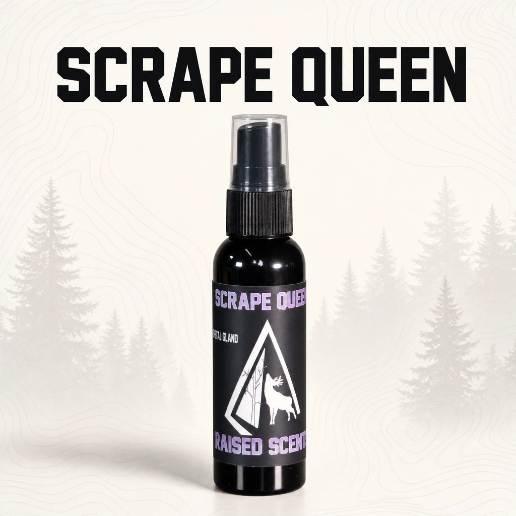 Scrape Queen | Doe Preorbital Gland